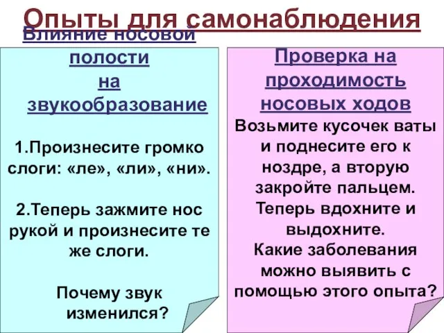 Опыты для самонаблюдения Влияние носовой полости на звукообразование 1.Произнесите громко слоги: «ле»,