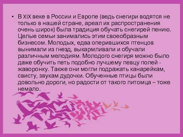 В XIX веке в России и Европе (ведь снегири водятся не только