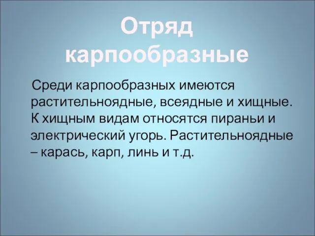 Среди карпообразных имеются растительноядные, всеядные и хищные. К хищным видам относятся пираньи