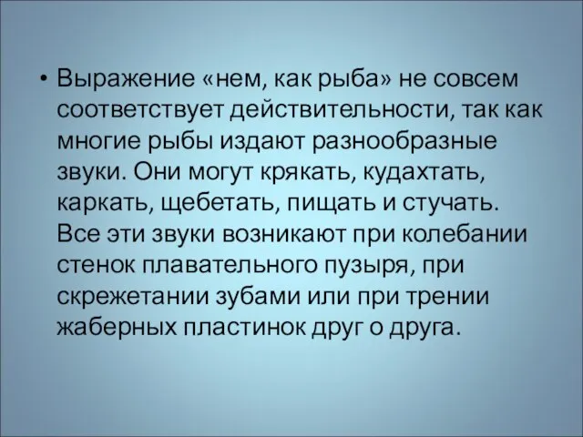 Выражение «нем, как рыба» не совсем соответствует действительности, так как многие рыбы