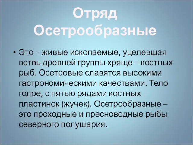 Это - живые ископаемые, уцелевшая ветвь древней группы хряще – костных рыб.