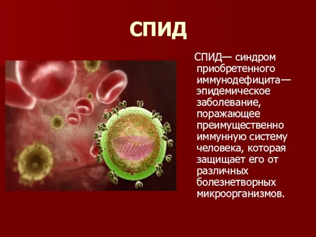 СПИД СПИД— синдром приобретенного иммунодефицита— эпидемическое заболевание, поражающее преимущественно иммунную систему человека,