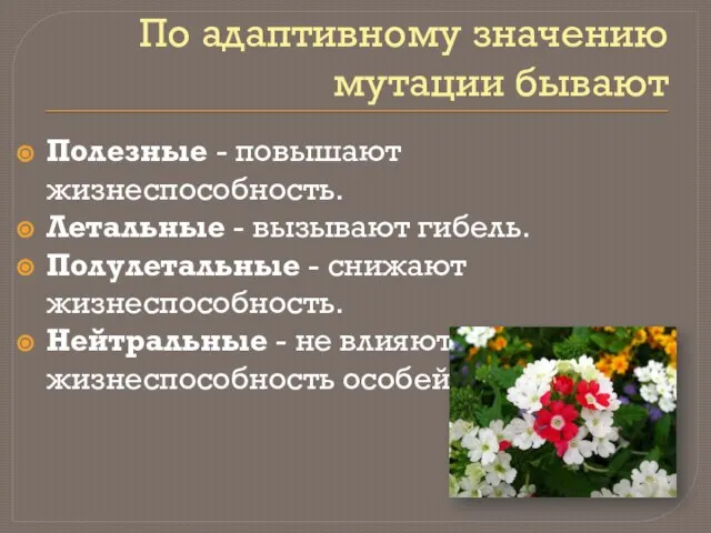 По адаптивному значению мутации бывают Полезные - повышают жизнеспособность. Летальные - вызывают