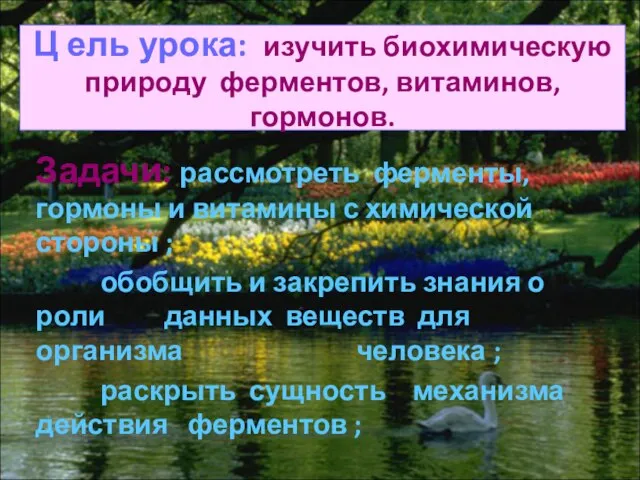 Ц ель урока: изучить биохимическую природу ферментов, витаминов, гормонов. Задачи: рассмотреть ферменты,