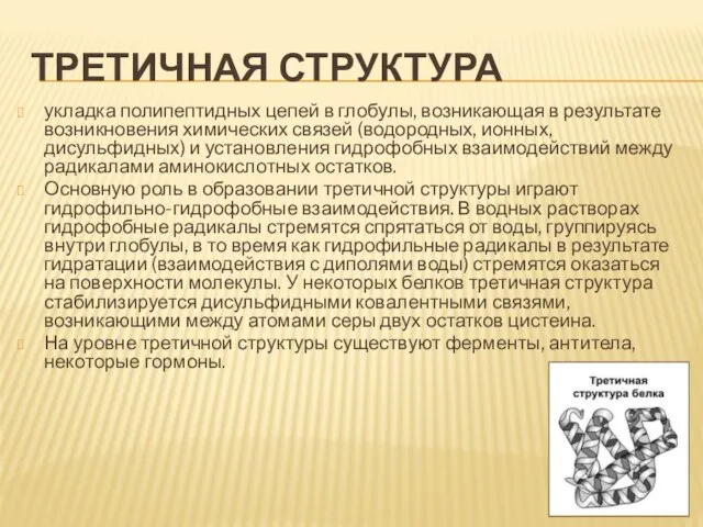 Третичная структура укладка полипептидных цепей в глобулы, возникающая в результате возникновения химических