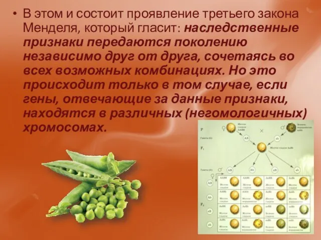 В этом и состоит проявление третьего закона Менделя, который гласит: наследственные признаки