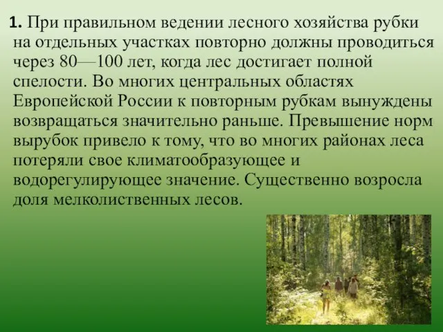 1. При правильном ведении лесного хозяйства рубки на отдельных участках повторно должны