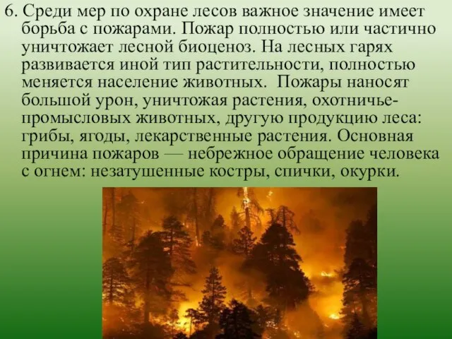 6. Среди мер по охране лесов важное значение имеет борьба с пожарами.