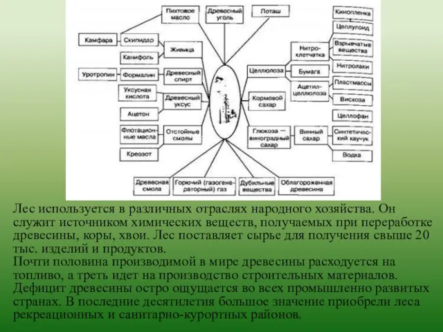 Лес используется в различных отраслях народного хозяйства. Он служит источником химических веществ,