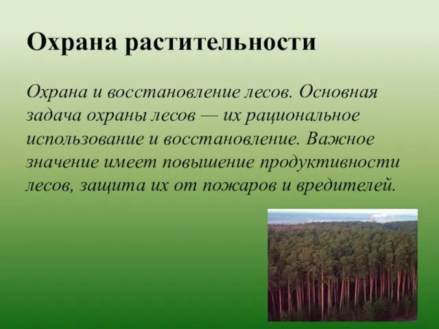 Охрана растительности Охрана и восстановление лесов. Основная задача охраны лесов — их