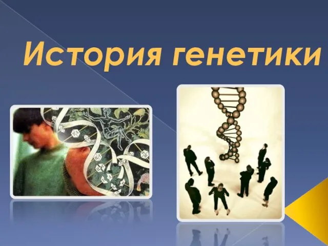 Презентация на тему История генетики