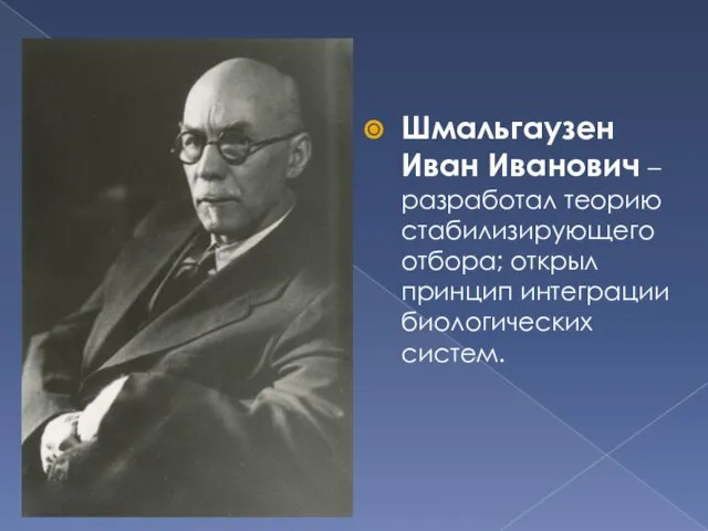 Шмальгаузен Иван Иванович – разработал теорию стабилизирующего отбора; открыл принцип интеграции биологических систем.