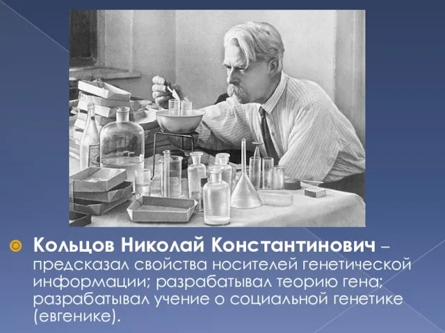 Кольцов Николай Константинович – предсказал свойства носителей генетической информации; разрабатывал теорию гена;