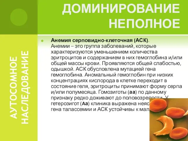 АУТОСОМНОЕ НАСЛЕДОВАНИЕ Анемия серповидно-клеточная (АСК). Анемии – это группа заболеваний, которые характеризуются