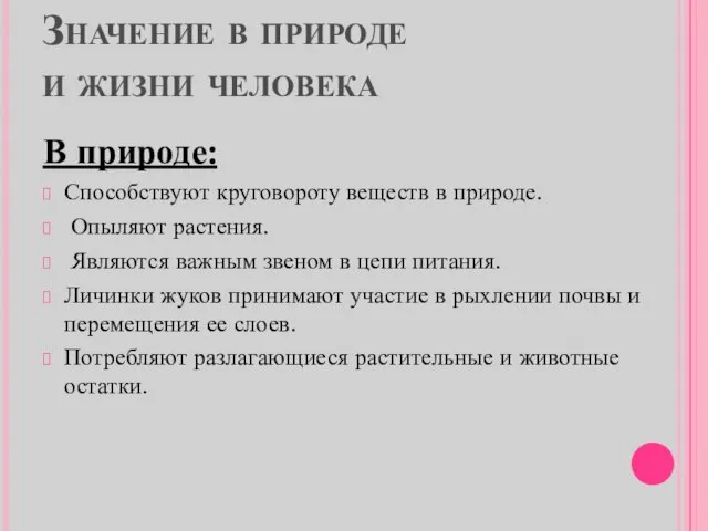 Значение в природе и жизни человека В природе: Способствуют круговороту веществ в