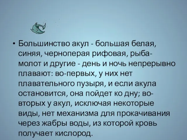 Большинство акул - большая белая, синяя, черноперая рифовая, рыба-молот и другие -