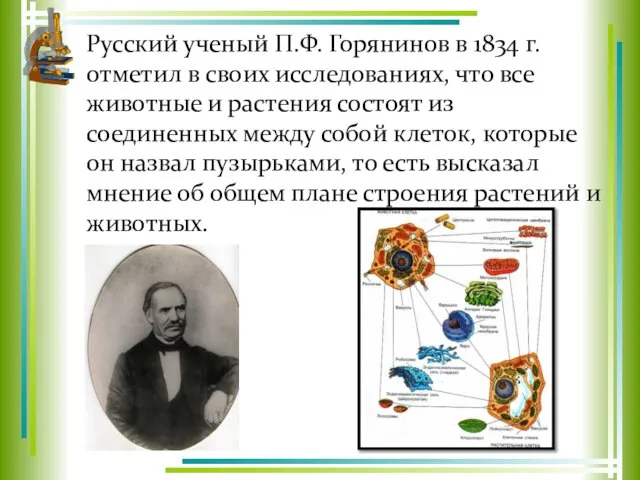 Русский ученый П.Ф. Горянинов в 1834 г. отметил в своих исследованиях, что