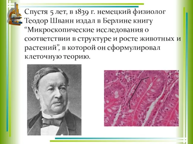 Спустя 5 лет, в 1839 г. немецкий физиолог Теодор Шванн издал в