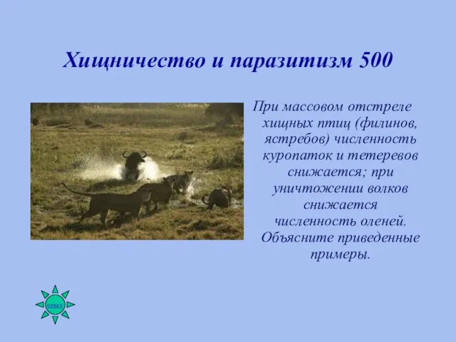 Хищничество и паразитизм 500 При массовом отстреле хищных птиц (филинов, ястребов) численность