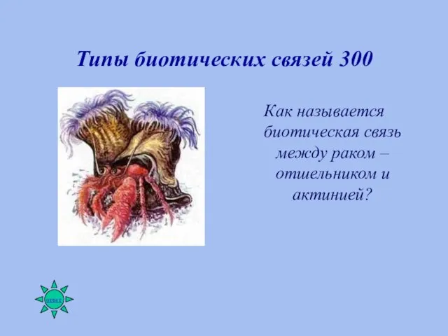 Типы биотических связей 300 Как называется биотическая связь между раком – отшельником и актинией?