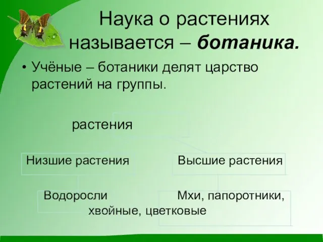 Наука о растениях называется – ботаника. Учёные – ботаники делят царство растений