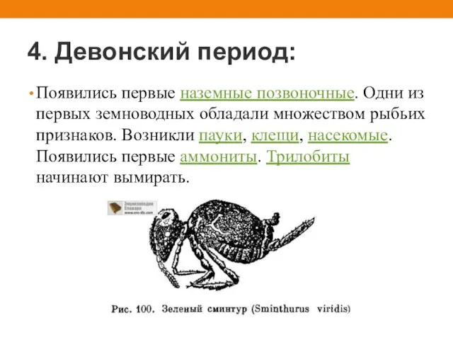 4. Девонский период: Появились первые наземные позвоночные. Одни из первых земноводных обладали