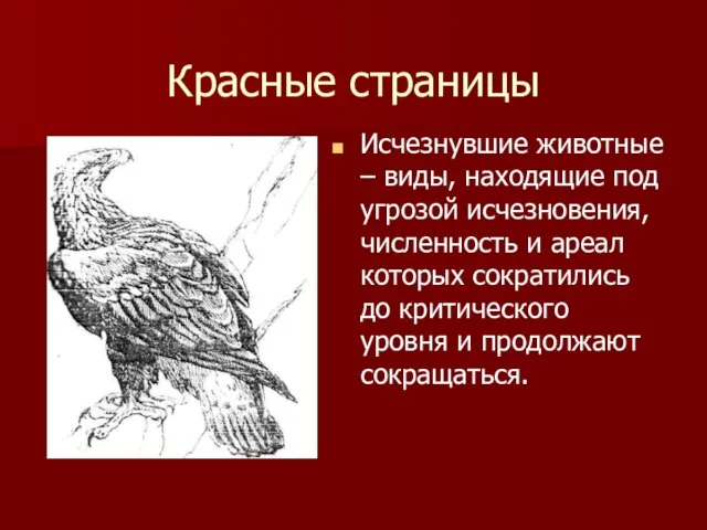 Красные страницы Исчезнувшие животные – виды, находящие под угрозой исчезновения, численность и