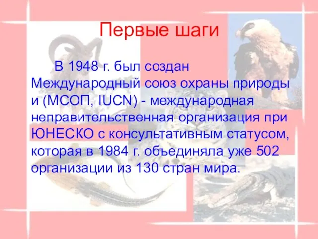 Первые шаги В 1948 г. был создан Международный союз охраны природы и