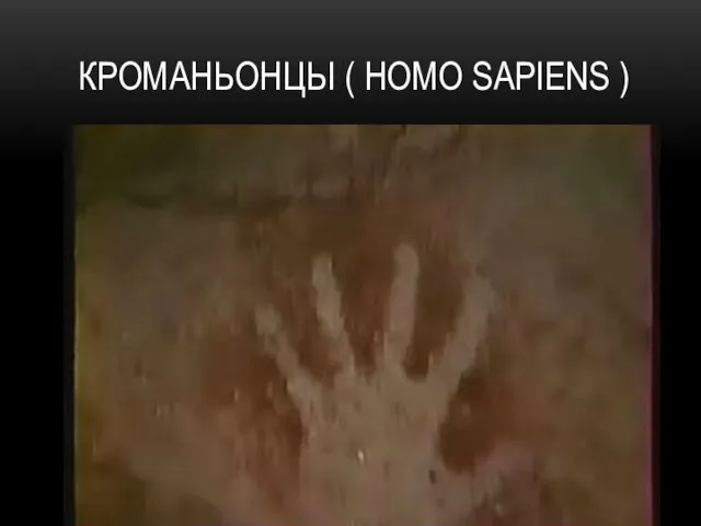 КРОМАНЬОНЦЫ ( HOMO SAPIENS )