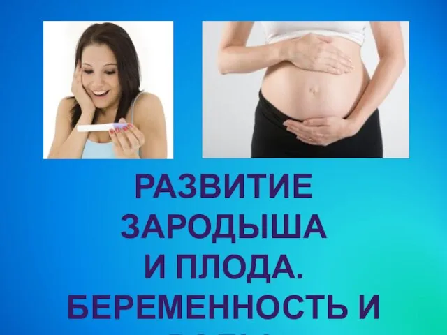 Презентация на тему Развитие зародыша и плода. Беременность и роды