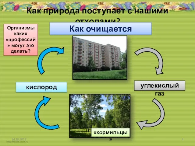 Как природа поступает с нашими отходами? Как очищается воздух? углекислый газ кислород