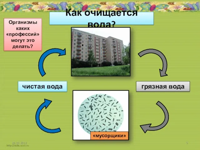 Как очищается вода? грязная вода чистая вода Организмы каких «профессий» могут это делать? «мусорщики»