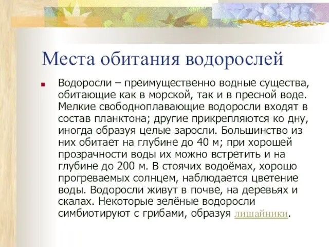 Места обитания водорослей Водоросли – преимущественно водные существа, обитающие как в морской,