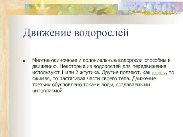 Движение водорослей Многие одиночные и колониальные водоросли способны к движению. Некоторые из