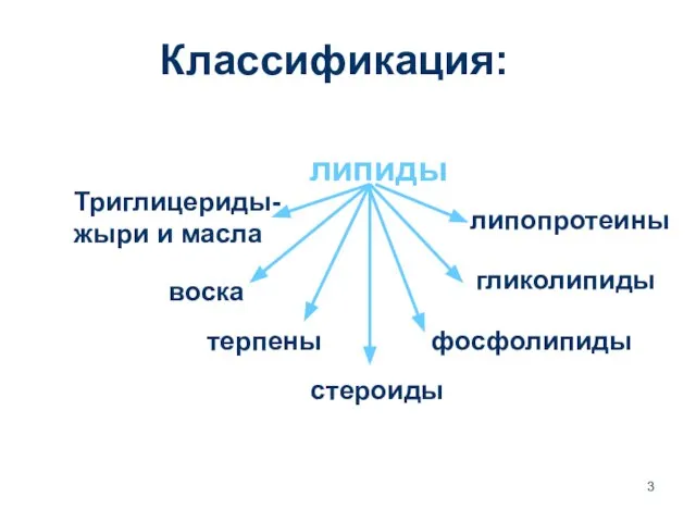 Классификация: липиды Триглицериды- жыри и масла воска терпены стероиды фосфолипиды гликолипиды липопротеины