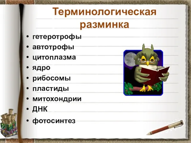 Терминологическая разминка гетеротрофы автотрофы цитоплазма ядро рибосомы пластиды митохондрии ДНК фотосинтез