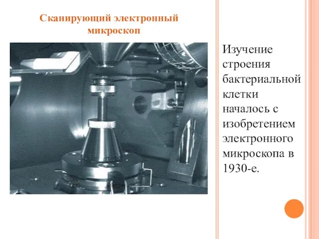 Изучение строения бактериальной клетки началось с изобретением электронного микроскопа в 1930-е. Сканирующий электронный микроскоп