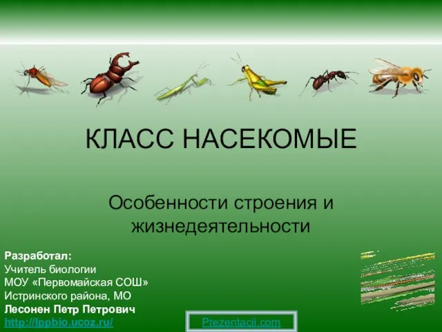 Презентация на тему Внешнее и внутреннее строение насекомого