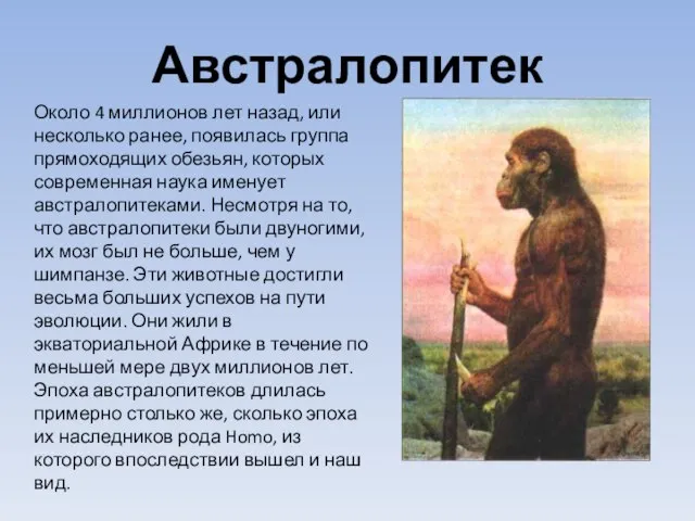 Около 4 миллионов лет назад, или несколько ранее, появилась группа прямоходящих обезьян,