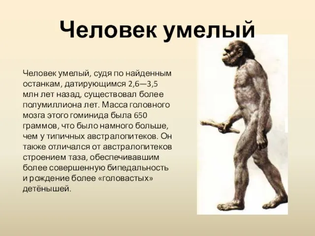 Человек умелый, судя по найденным останкам, датирующимся 2,6—3,5 млн лет назад, существовал