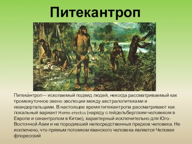 Питека́нтроп— ископаемый подвид людей, некогда рассматриваемый как промежуточное звено эволюции между австралопитеками