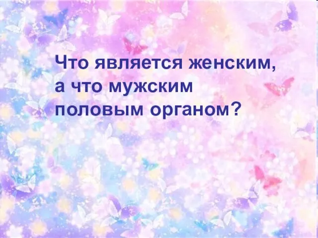 Что является женским, а что мужским половым органом?