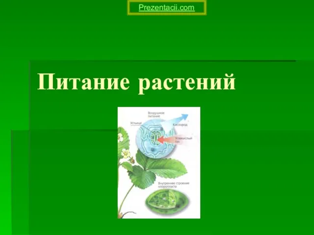 Презентация на тему Питание растений