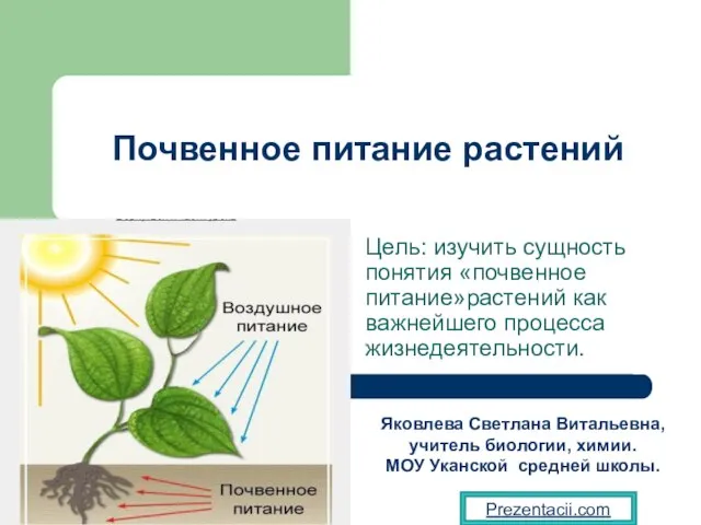 Презентация на тему Почвенное питание растений
