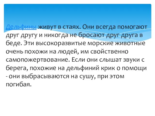 Дельфины живут в стаях. Они всегда помогают друг другу и никогда не