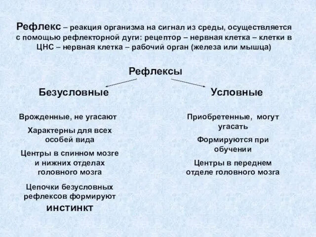 Рефлекс – реакция организма на сигнал из среды, осуществляется с помощью рефлекторной