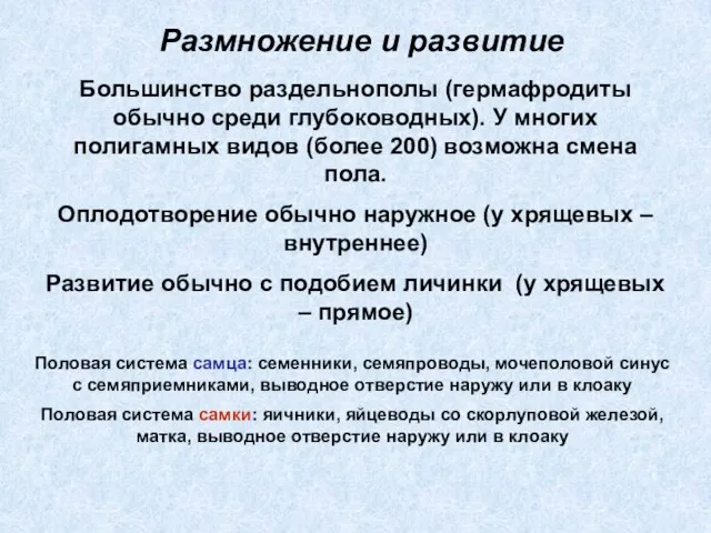 Размножение и развитие Большинство раздельнополы (гермафродиты обычно среди глубоководных). У многих полигамных