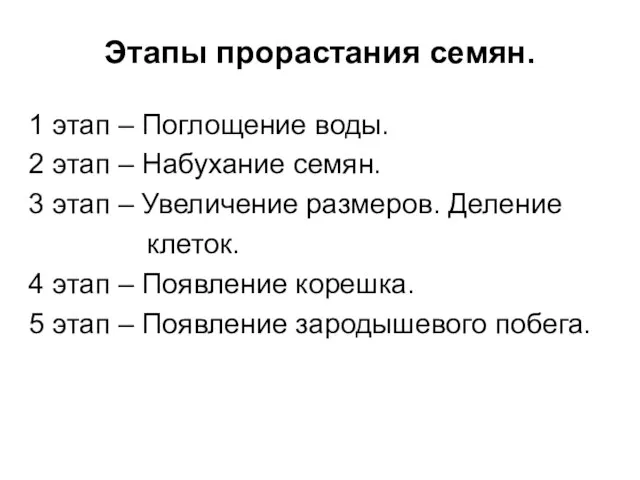 Этапы прорастания семян. 1 этап – Поглощение воды. 2 этап – Набухание