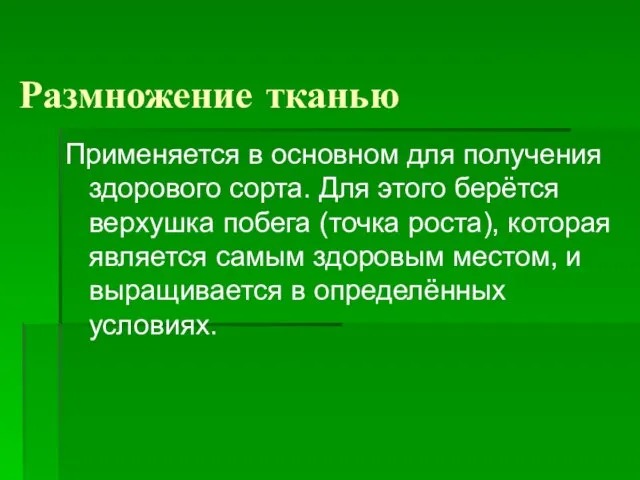 Размножение тканью Применяется в основном для получения здорового сорта. Для этого берётся