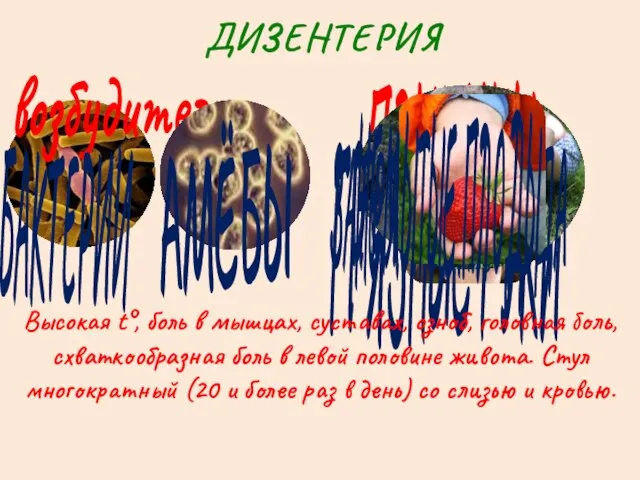 ДИЗЕНТЕРИЯ возбудители БАКТЕРИИ АМЁБЫ ПРИЧИНЫ ГРЯЗНЫЕ РУКИ ЗАГРЯЗНЁННАЯ ВОДА Высокая t°, боль